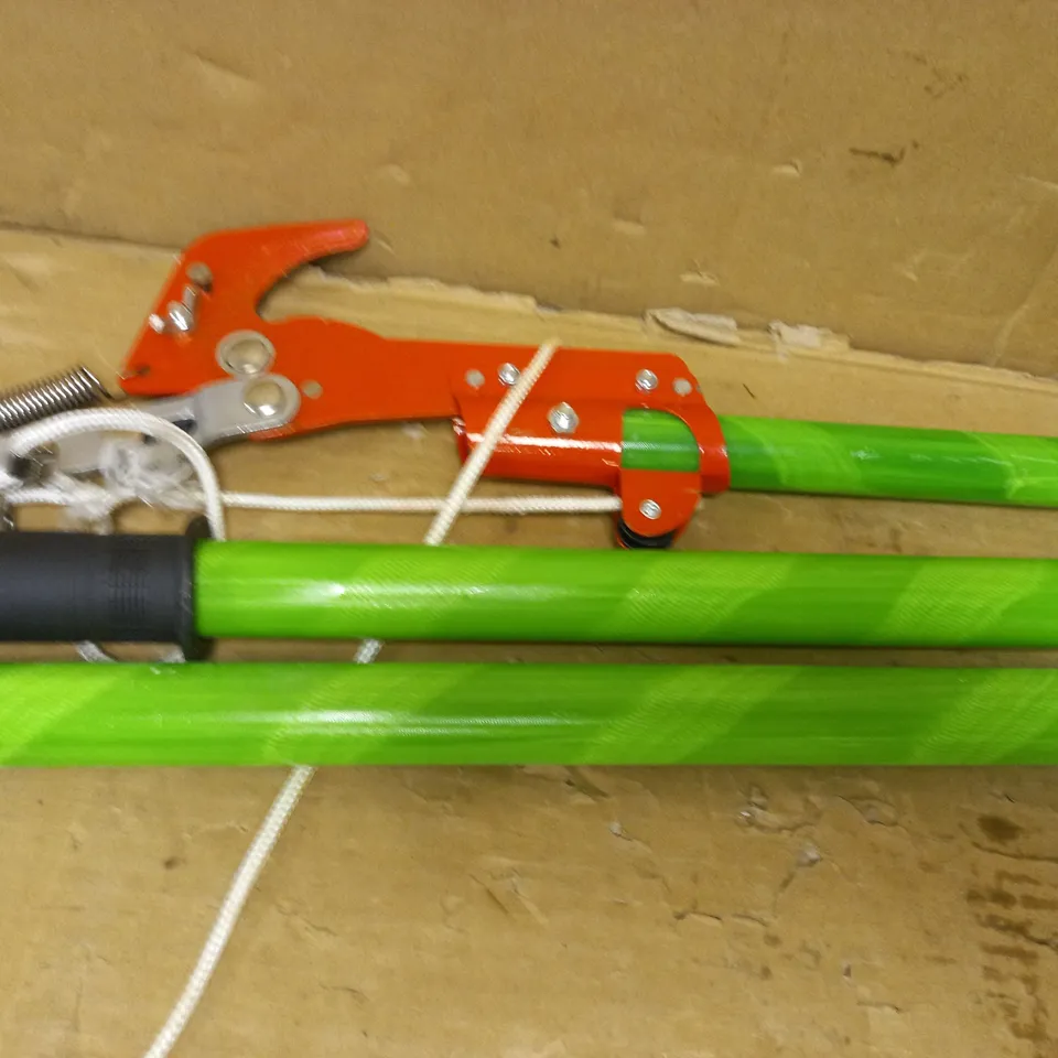 DESIGNER TELESCOPIC EXTENDABLE HEDGE TRIMMER - COLLECTION ONLY