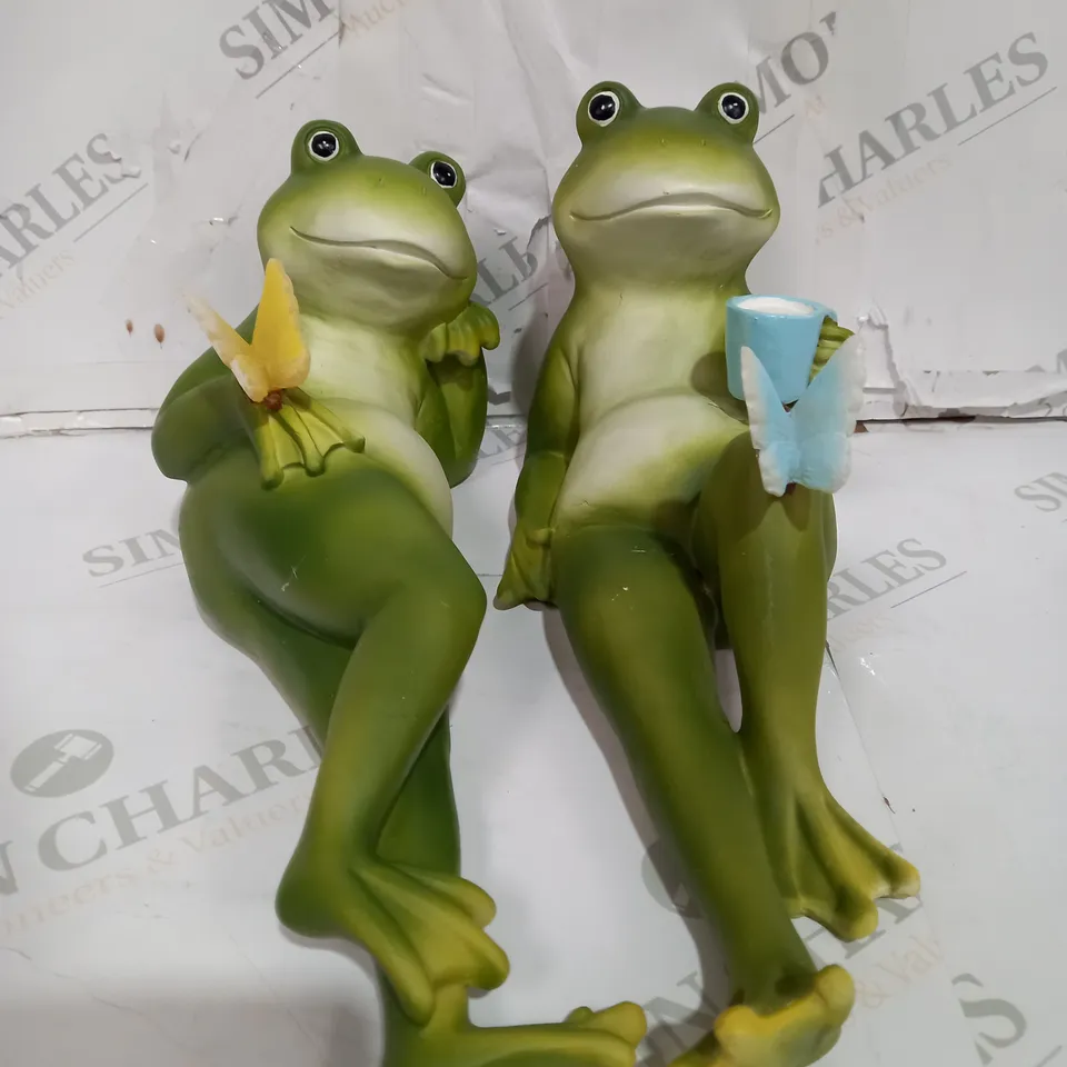 BOXED DECORATIVE LED FROGS