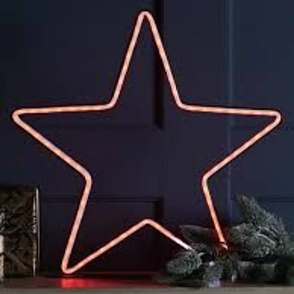 NEON FLEX RGB STAR ON STAND