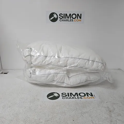 SET OF 2 LUXURY BOX PILLOWS