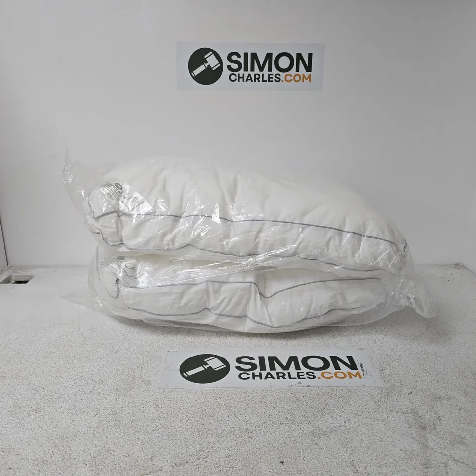 SET OF 2 LUXURY BOX PILLOWS
