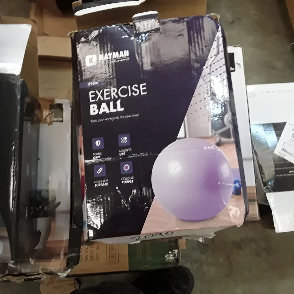 BOXED KAYMAN EXERCISE BALL - PURPLE