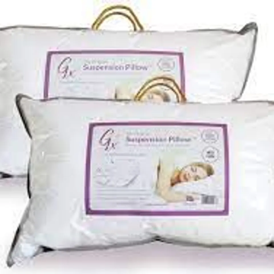 PAIR OF GX SUSPENSION PILLOWS MEDIUM-FIRM