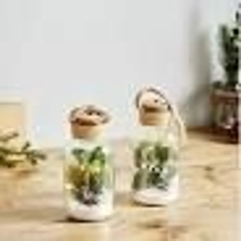 SARAH DAVIES SET OF 2 PRE LIT FOLIAGE GLASS JARS