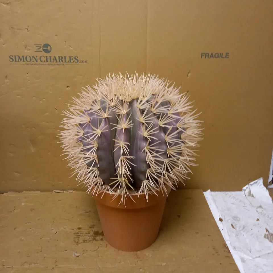 HOME2GARDENS FAUX CACTUS 