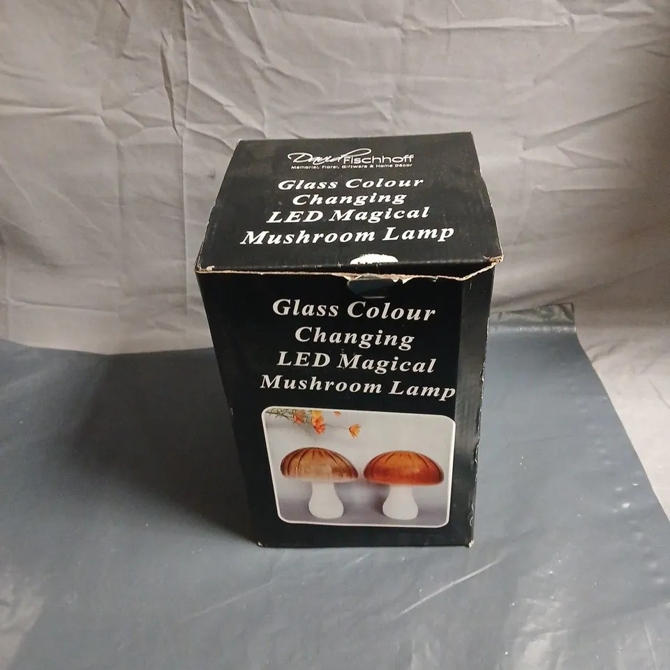 DAVID FISCHHOFF GLASS COLOUR CHANGING LED MAGICAL MUSHROOM LAMP