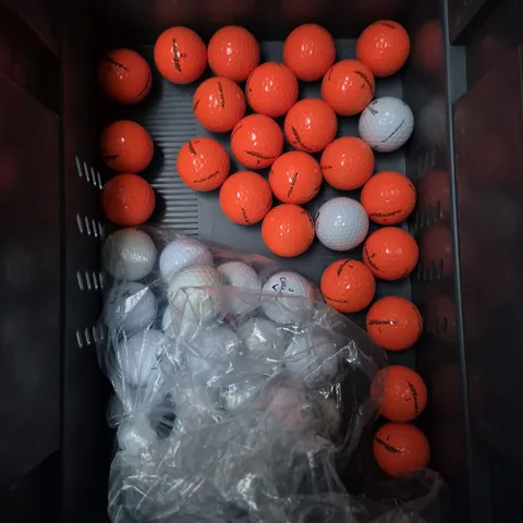 APPROXIMATELY 20 ASSORTED GOLF BALLS