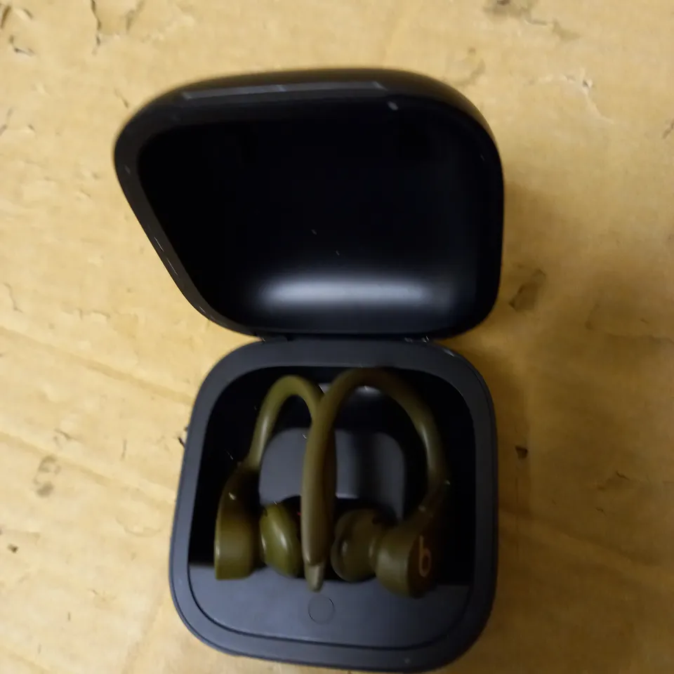 BEATS POWERBEATS PRO MOSS GREEN