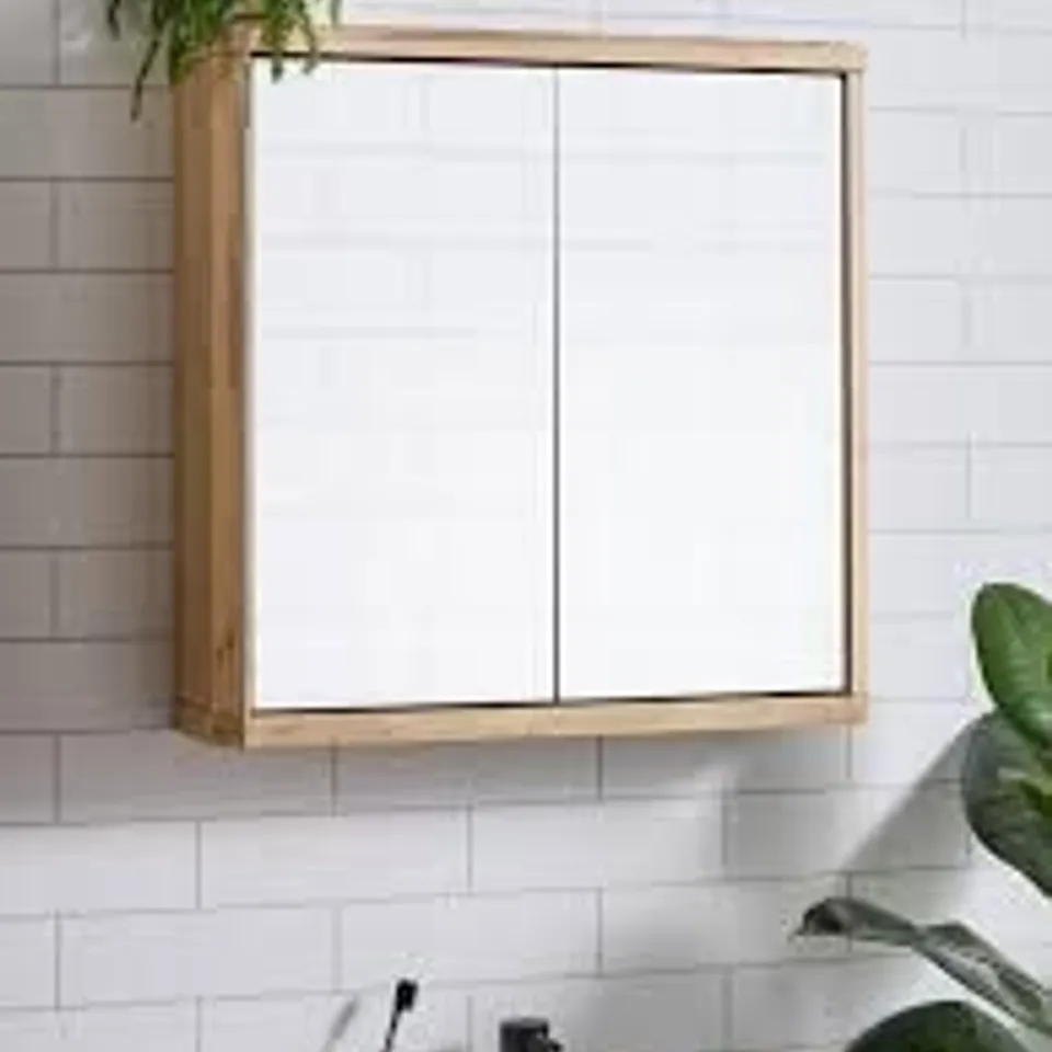 HARLEM 2 DOOR MIRRORED BATHROOM WALL CABINET
