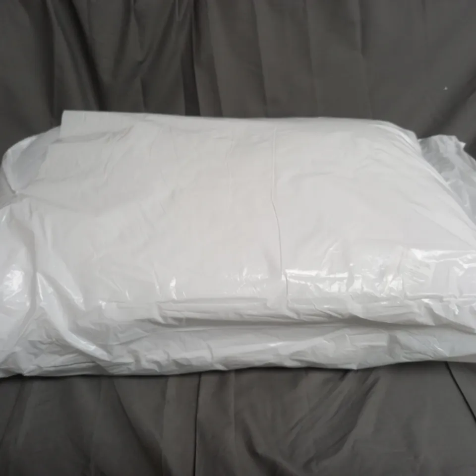 BAGGED SET OF 2 PILLOWS