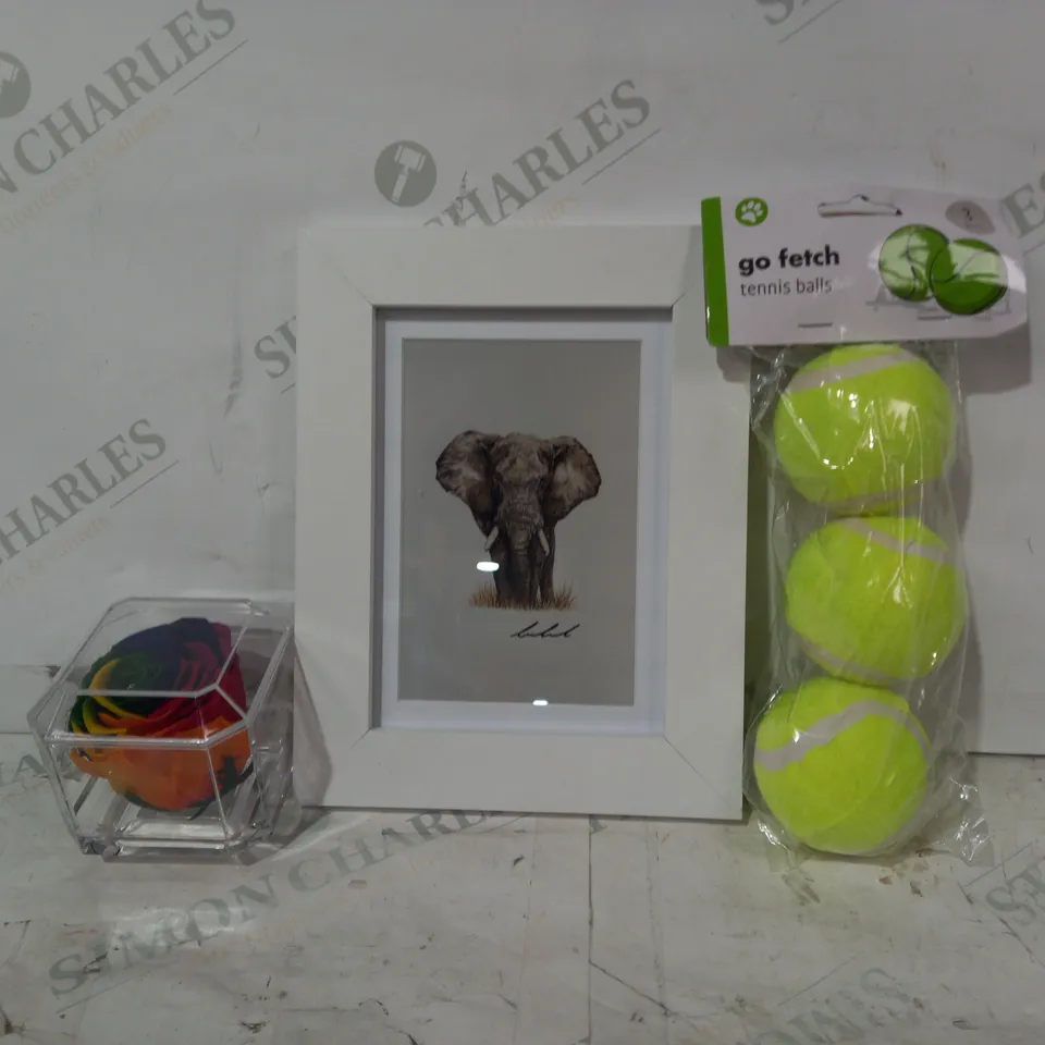 BOX OF APPROXIMATELY 15 ASSORTED HOUSEHOLD ITEMS TO INCLUDE GO FETCH TENNIS BALLS, DECORATIVE FRAMED ELEPHANT PRINT, DECORATIVE MULTICOLOUR ROSE, ETC