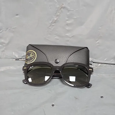 RAY-BAN ERIK SUNGLASSES
