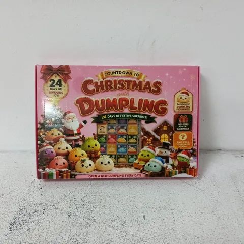 CHRISTMAS DUMPLING ADVENT CALENDAR TOY SET (BOXED) SQUISHY TOY ADVENT CALENDAR