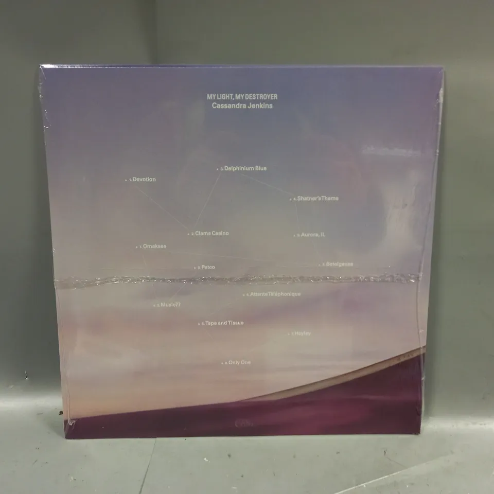 CASSANDRA JENKINS MY LIGHT MY DESTROYER VINYL