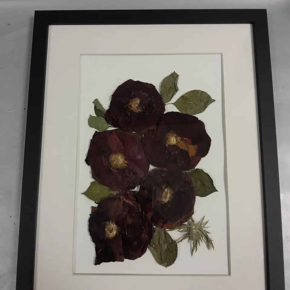 THE FLOWER PRESS SHED FRAMED FLOWERS 