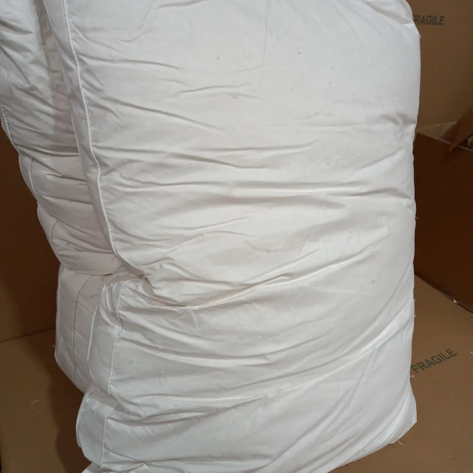 NORTHERN NIGHTS SET OF PUR FEATHER PILLOWS 