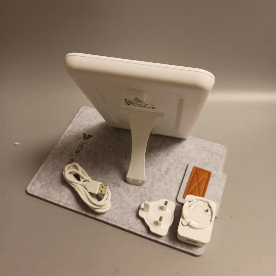 BOXED HOSOME NATURAL ENERGY LAMP WHITE INCLUDES CASE PLUG AND CHARGER