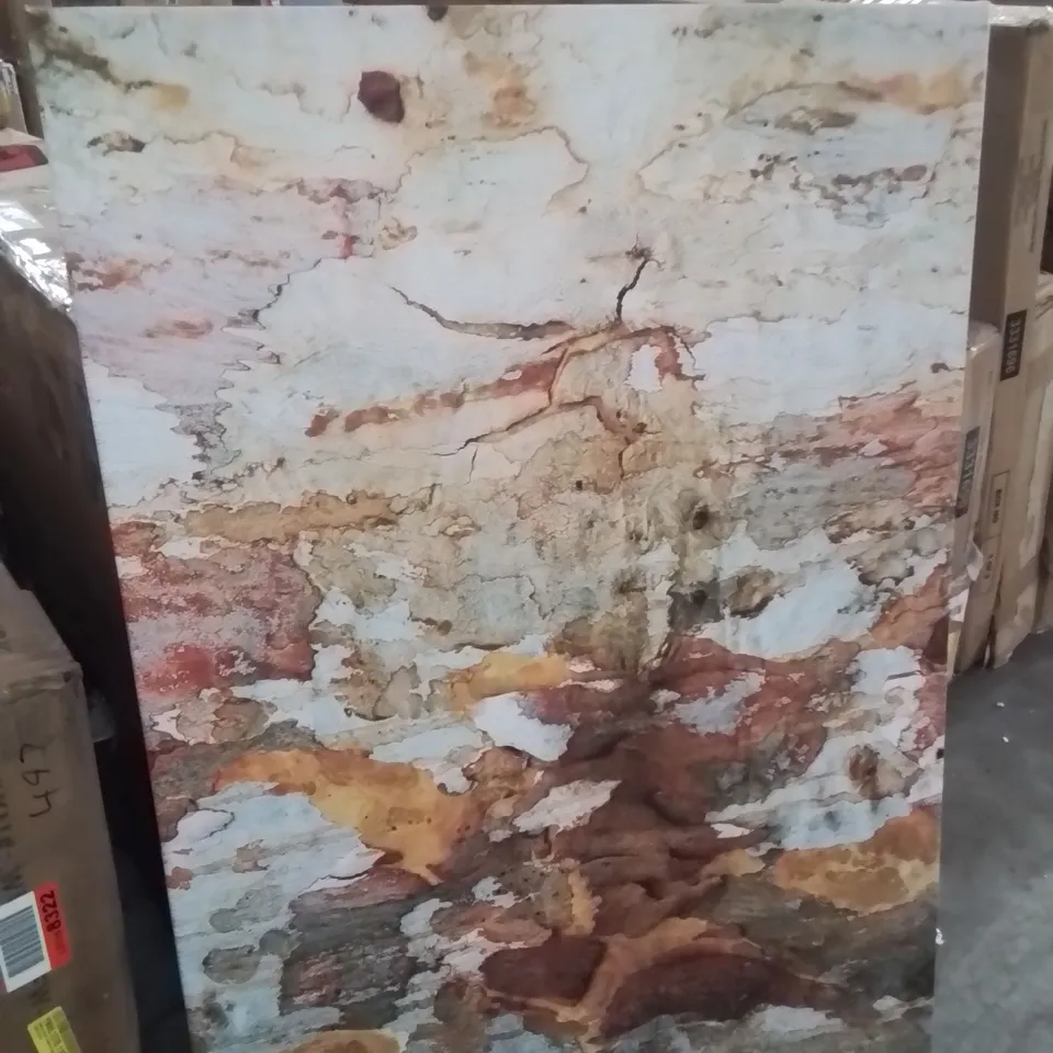 BOXED EUCALYPTUS TREE BARK WRAPPED CANVAS PRINT 