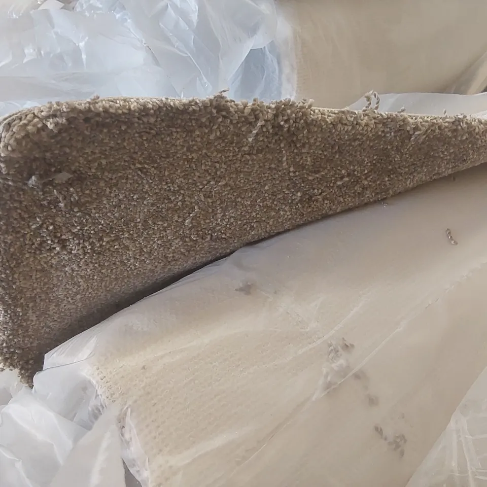 ROLL OF QUALITY FIRST IMPRESSIONS DOWN TO EARTH CARPET - APPROXIMATELY 2 x 4m